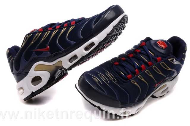 nike tn 2010 bleu (2).JPG